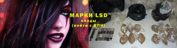 спиды Няндома