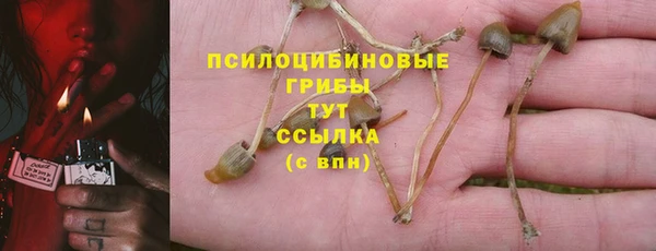 спиды Няндома