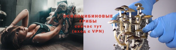 экстази Новодвинск