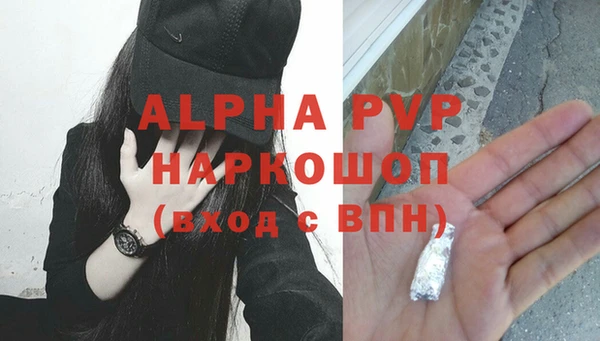 спиды Няндома